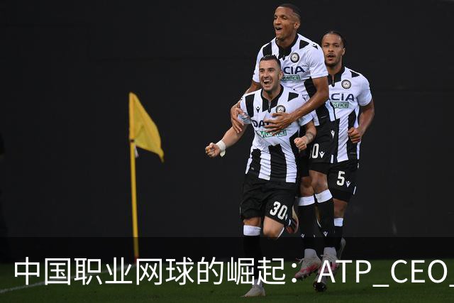 中国职业网球的崛起：ATP CEO 深度解读变化与机遇