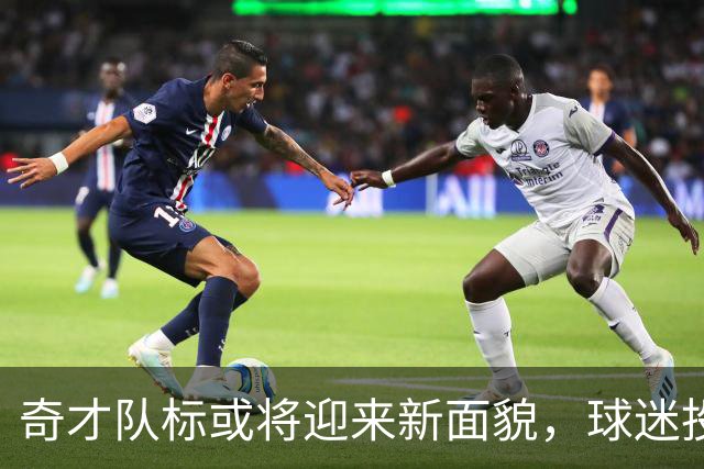 奇才队标或将迎来新面貌，球迷投票将成决策关键
