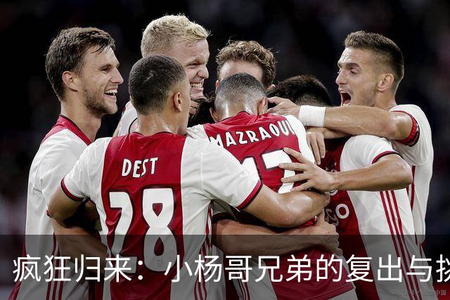 疯狂归来：小杨哥兄弟的复出与挑战